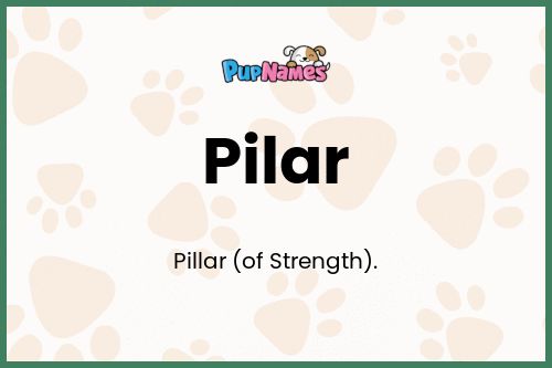 Pilar dog name meaning