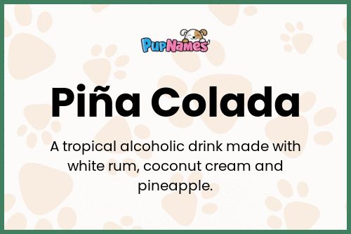 Piña Colada dog name meaning