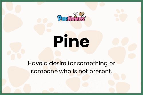 Pine dog name meaning