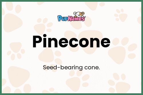 Pinecone dog name meaning