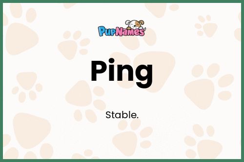 Ping dog name meaning