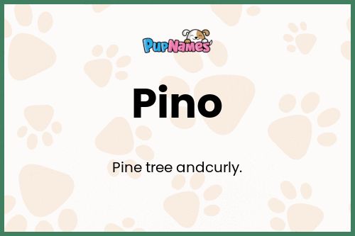 Pino dog name meaning