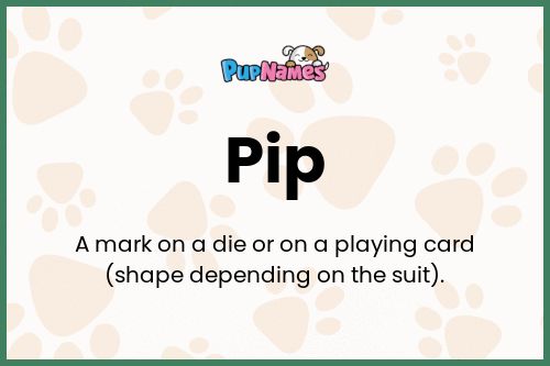 Pip dog name meaning