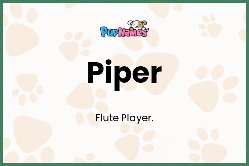 Piper dog name meaning