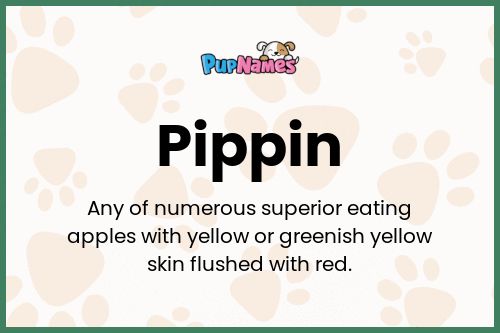 Pippin dog name meaning