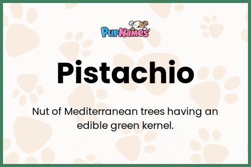 Pistachio dog name meaning