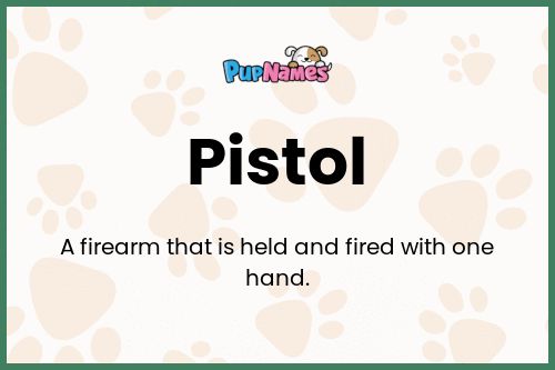 Pistol dog name meaning