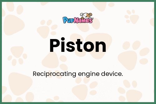 Piston dog name meaning