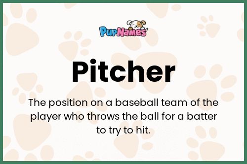 Pitcher dog name meaning