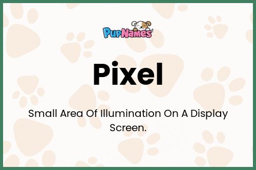 Pixel dog name meaning