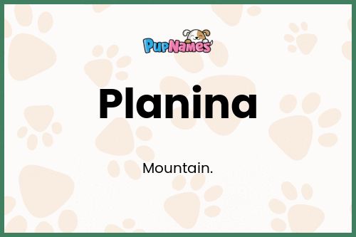 Planina dog name meaning