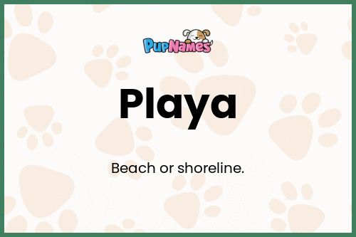 Playa dog name meaning