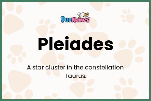 Pleiades dog name meaning