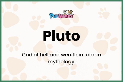 Pluto dog name meaning