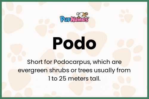 Podo dog name meaning