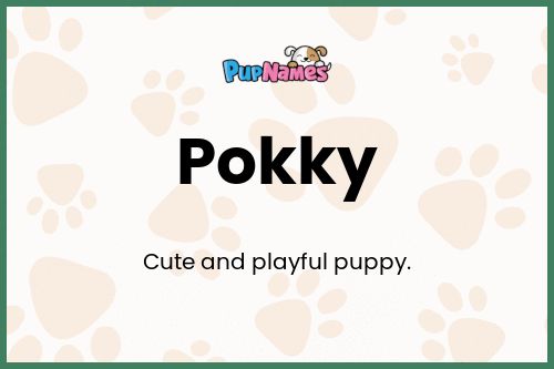 Pokky dog name meaning