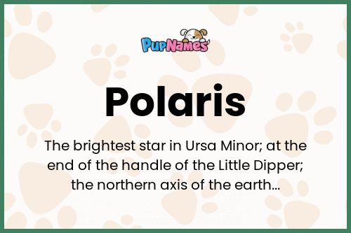 Polaris dog name meaning