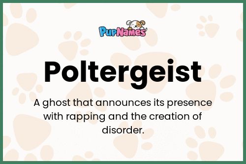 Poltergeist dog name meaning