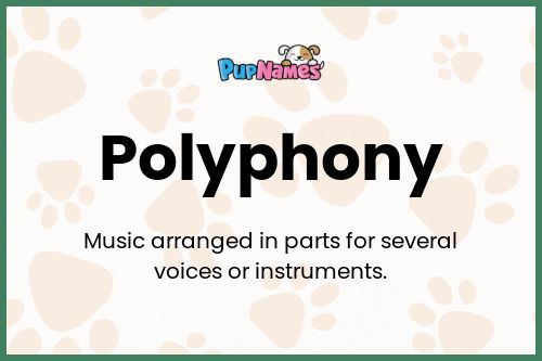 Polyphony dog name meaning