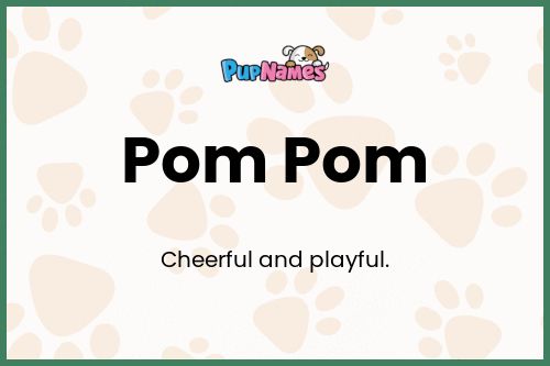 Pom Pom dog name meaning