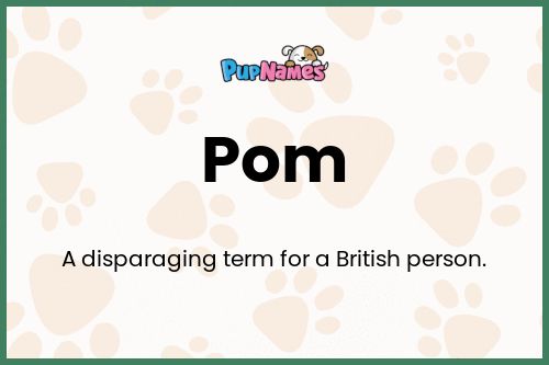 Pom dog name meaning