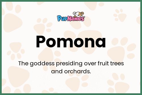 Pomona dog name meaning