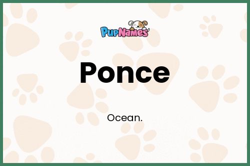 Ponce dog name meaning