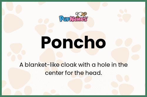 Poncho dog name meaning