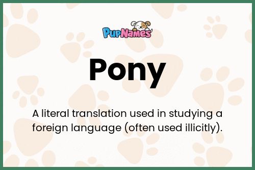 Pony dog name meaning