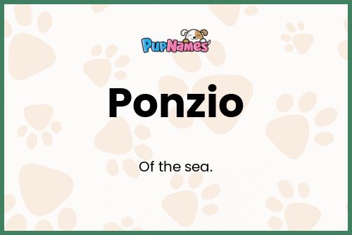 Ponzio dog name meaning