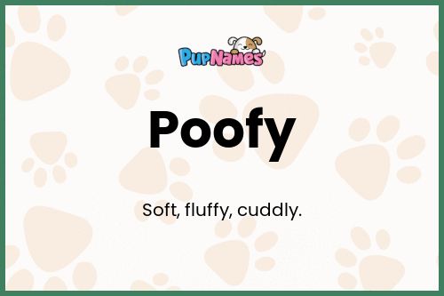 Poofy dog name meaning