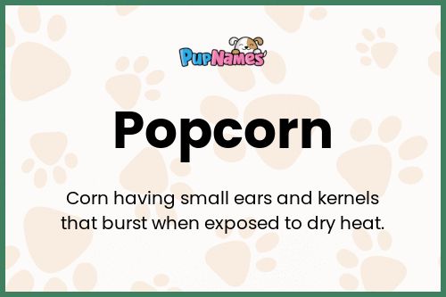 Popcorn dog name meaning