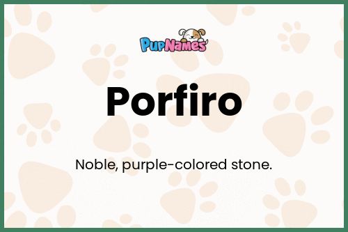 Porfiro dog name meaning