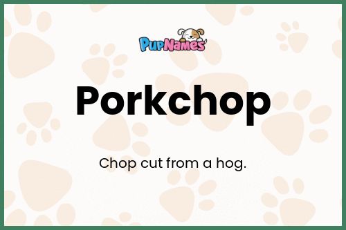 Porkchop dog name meaning