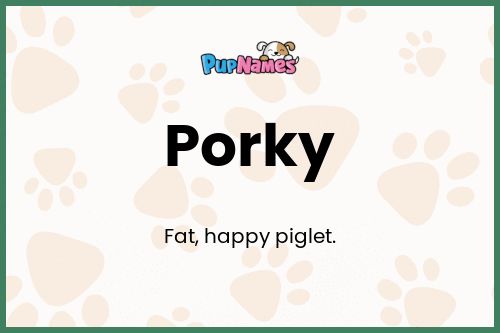 Porky dog name meaning