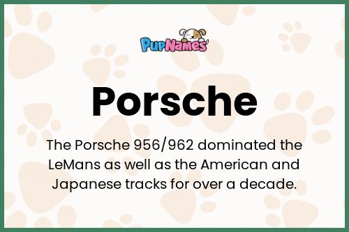 Porsche dog name meaning