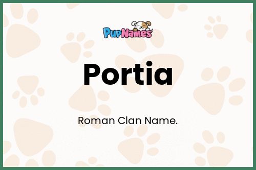 Portia dog name meaning