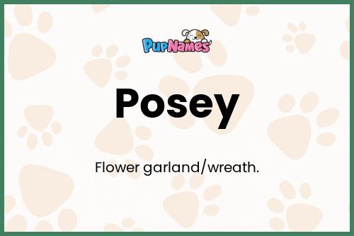 Posey dog name meaning