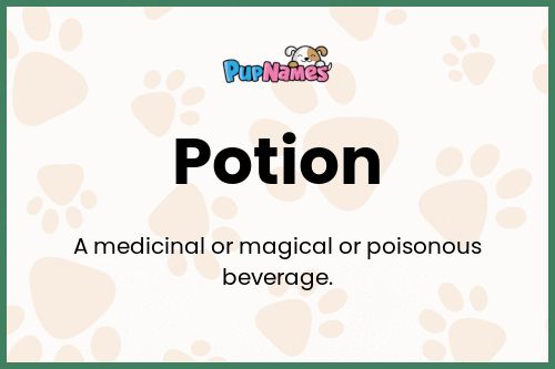 Potion dog name meaning