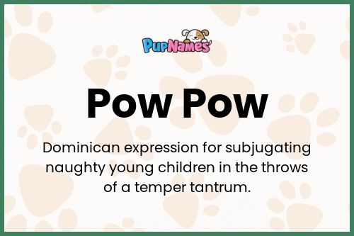 Pow Pow dog name meaning