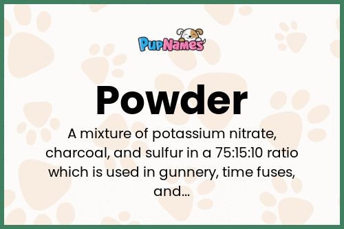 Powder dog name meaning