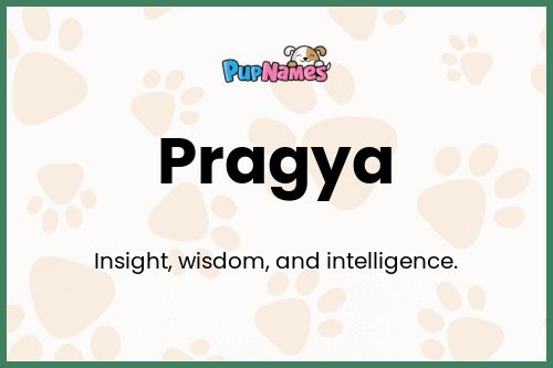 Pragya dog name meaning