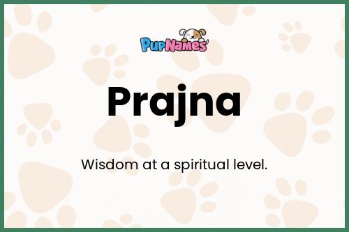 Prajna dog name meaning