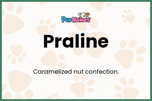 Praline dog name meaning