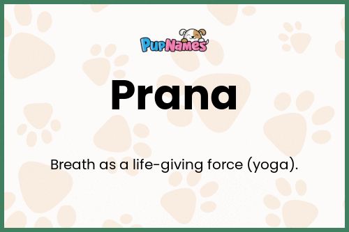 Prana dog name meaning