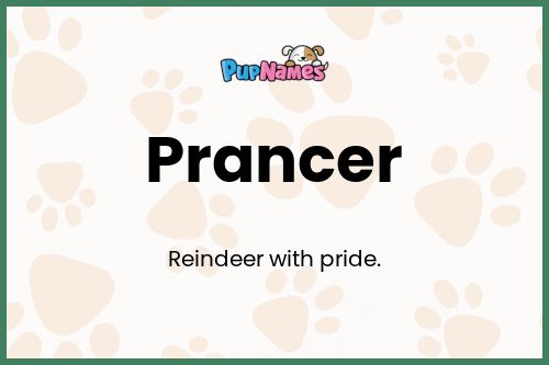 Prancer dog name meaning