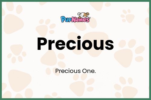 Precious dog name meaning