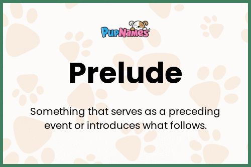 Prelude dog name meaning