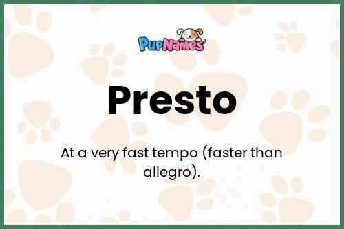 Presto dog name meaning