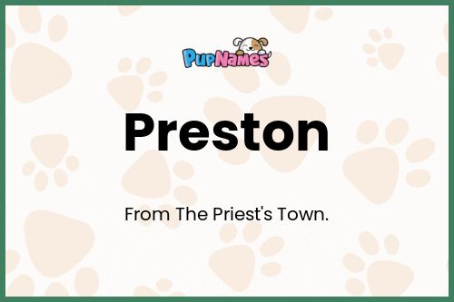 Preston dog name meaning